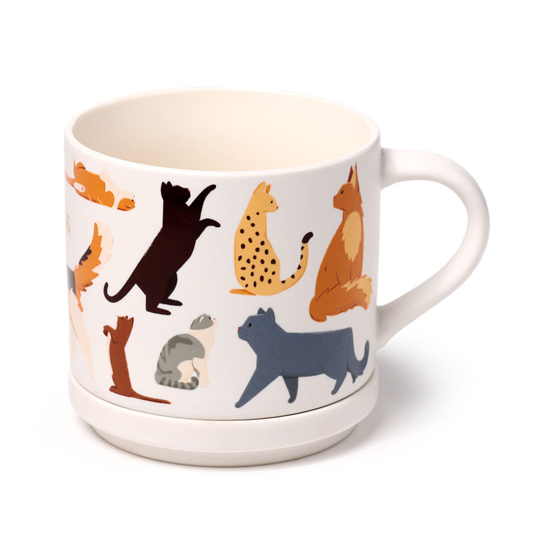 Whimsical Cat Mug and Coaster Display