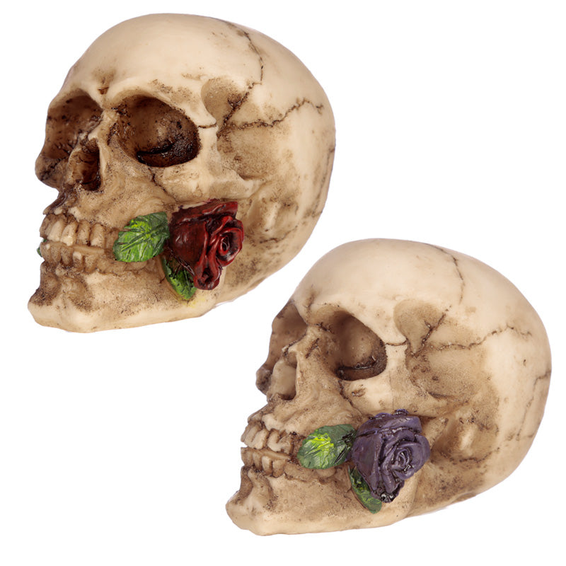 Gothic Skulls and Roses Ornament with intricate details