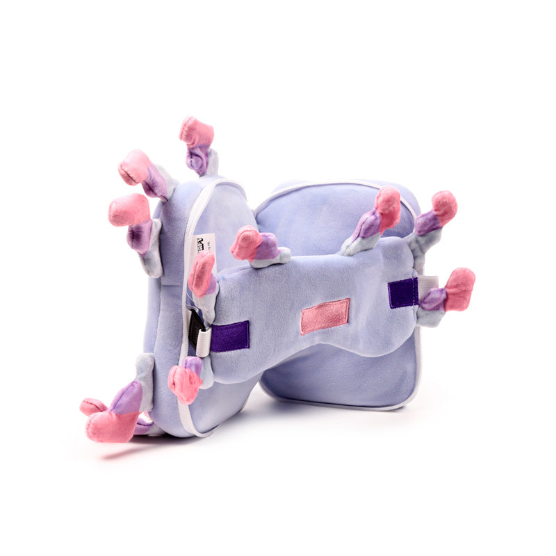 Minecraft Axolotl Travel Set