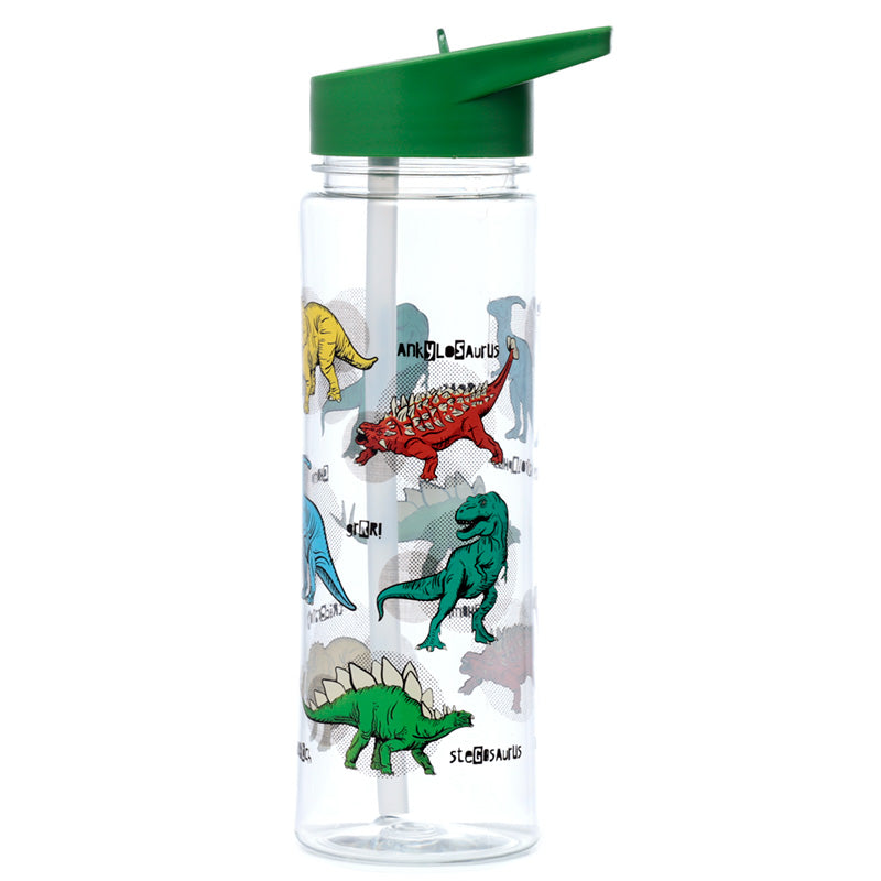 Reusable water bottle featuring dinosaurs