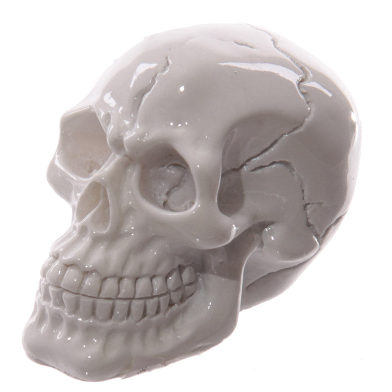 Close-up of glossy small skull ornament