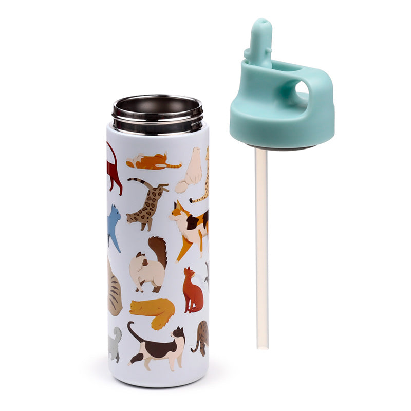 Insulated drinks bottle keeping beverages cold
