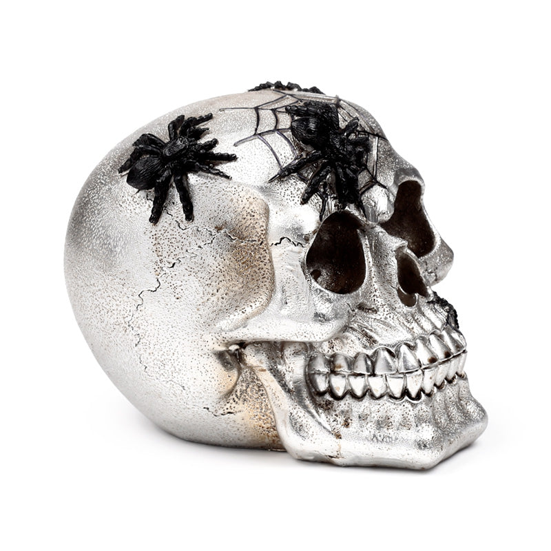 Decorative skull ornament displayed on a shelf