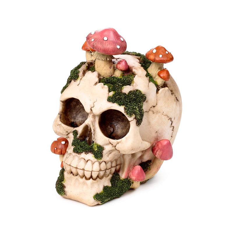 Skull ornament displayed with decorative toadstools