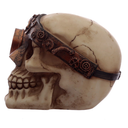 Fantasy Steampunk Skull Ornament with decorative background