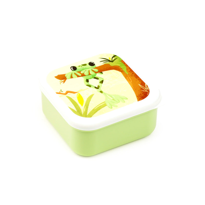 Vibrant Tropical Tree Frog Lunch Box Design