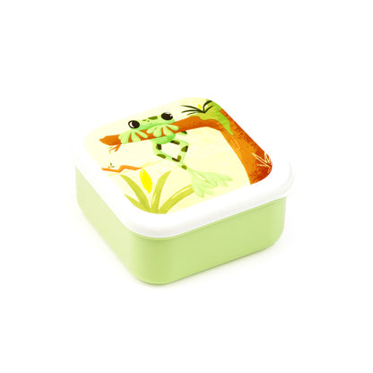 Vibrant Tropical Tree Frog Lunch Box Design