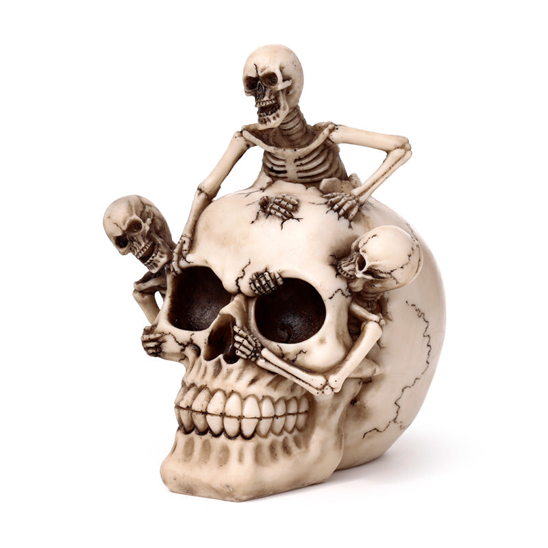 Skull Ornament displayed on a shelf