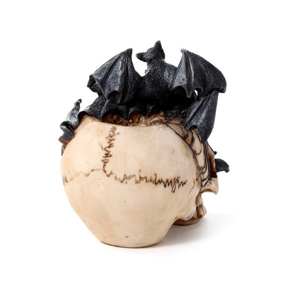 Unique Skull Ornament for Home Decor