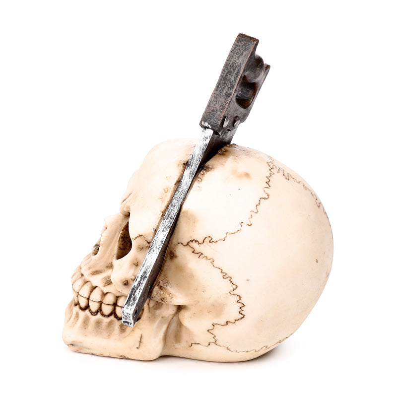 Skull ornament displayed on a shelf