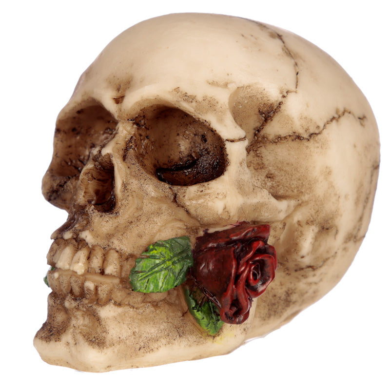 Close-up of Gothic Skulls and Roses decorative ornament