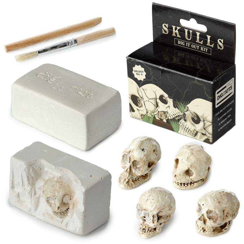Fun Excavation Dig It Out Kit - Human Skull