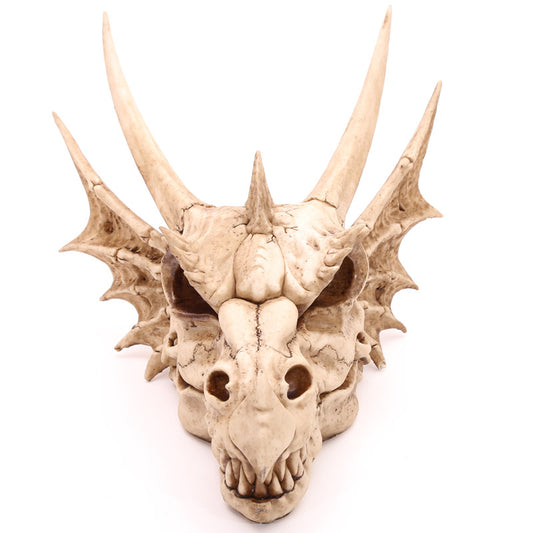 Decorative Fantasy Dragon Skull - Front View