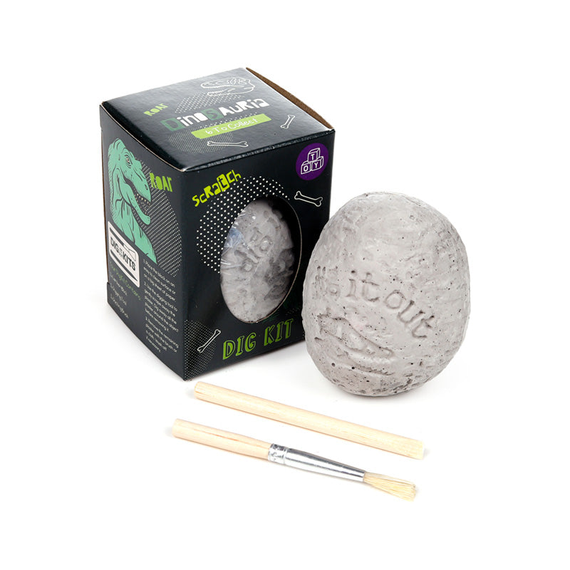 Excavation tools included in Dinosaur Dig It Out Kit