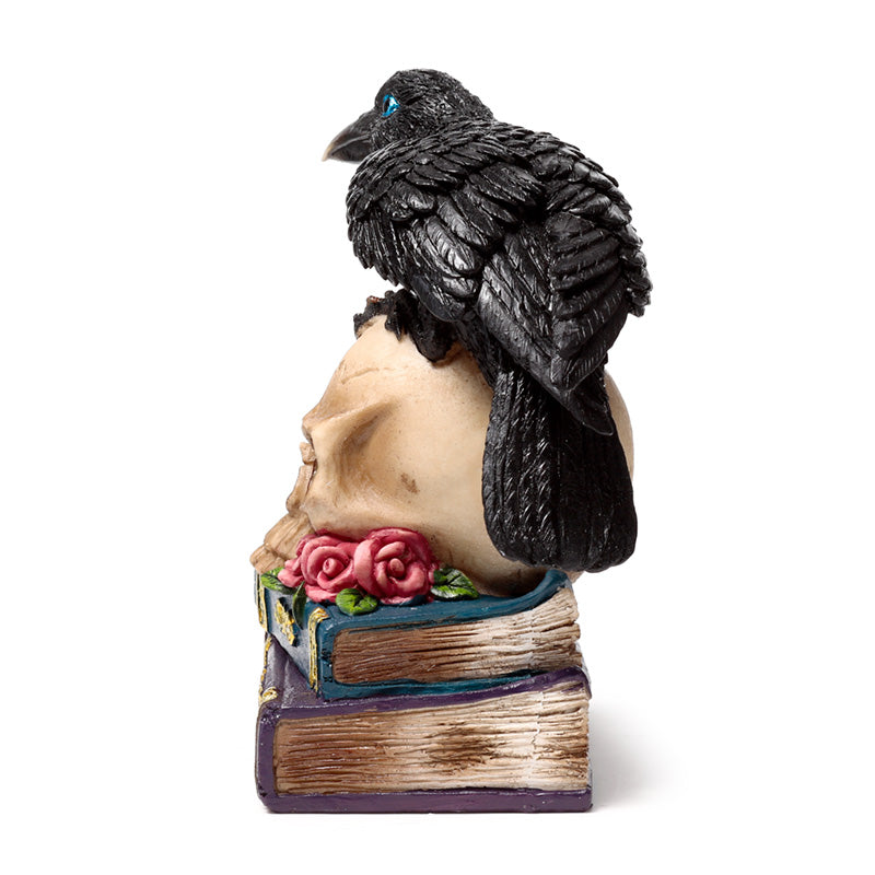 Illuminated decorative crow on skull ornament