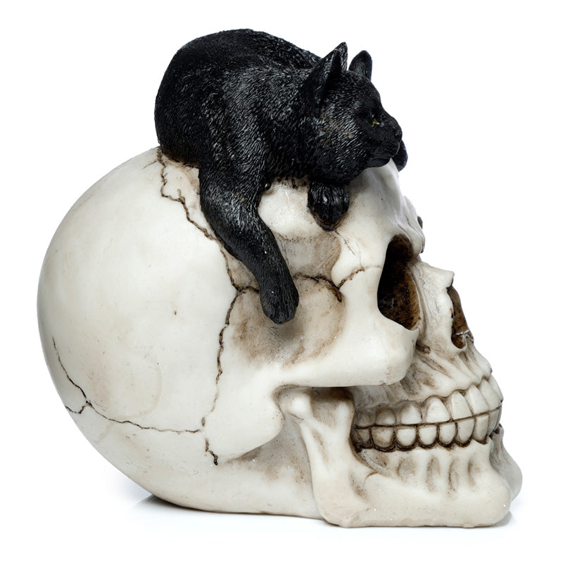 Fantasy Skull Ornament with Black Cat - Displayed on Shelf