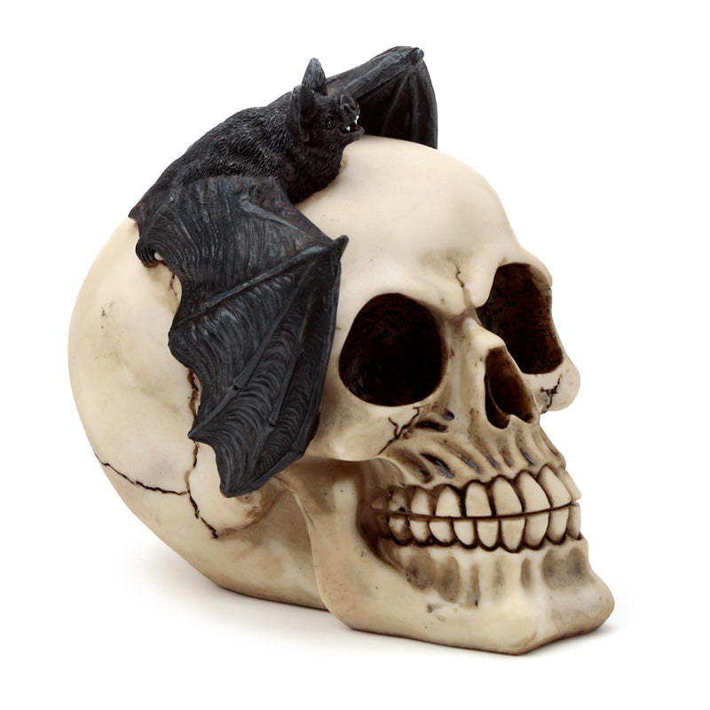 Unique Skull Decoration for Gothic Enthusiasts