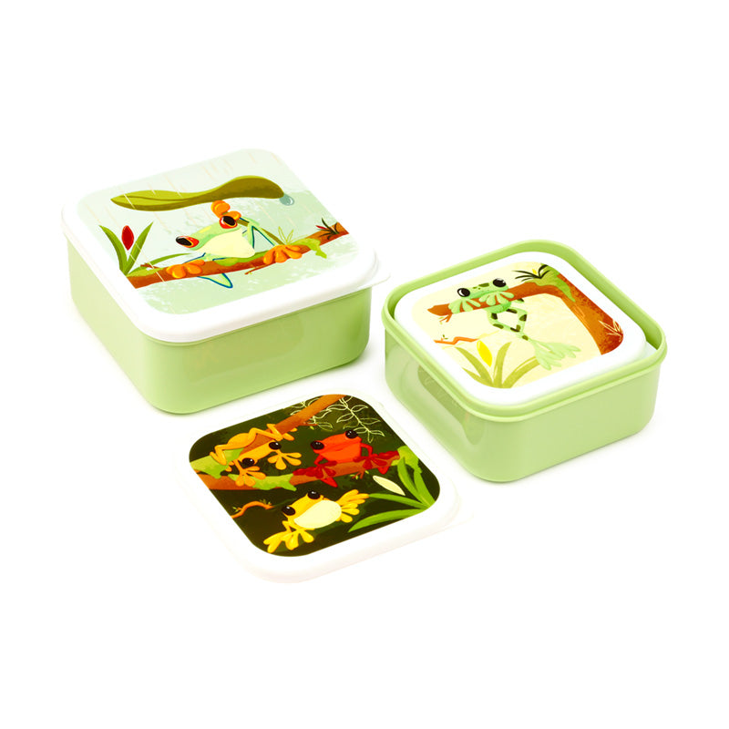 Tropical Tree Frog Lunch Box Set on a Table