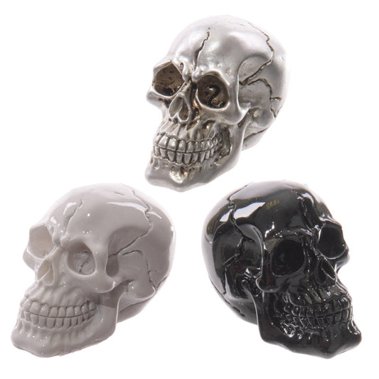Glossy small skull ornament on a shelf
