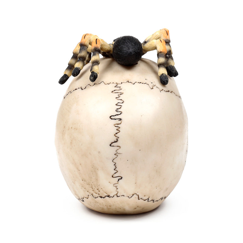 Decorative Skull Ornament with Spider - Displayed on Shelf