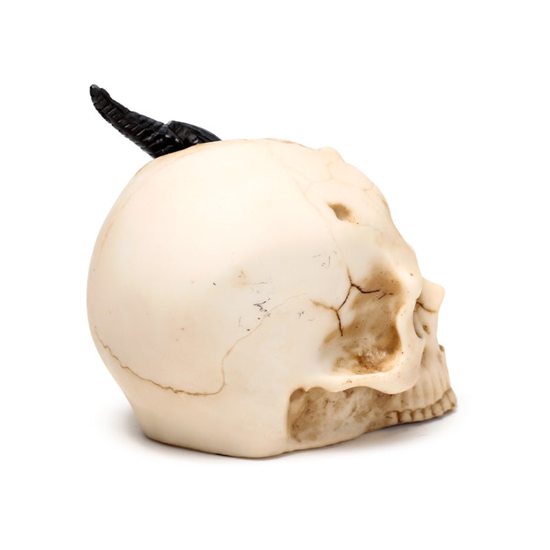 Decorative fantasy dragon ornament for display