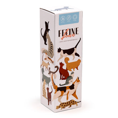 Charming cat-themed artwork on insulated drinks bottle