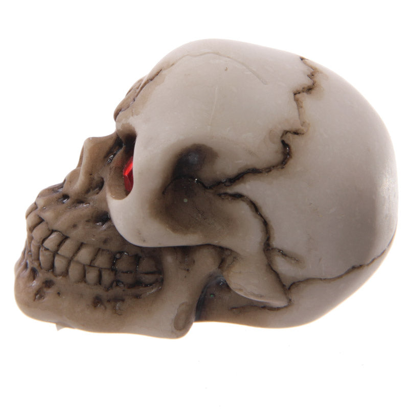 Close-up of Red Eyed Skull Decoration
