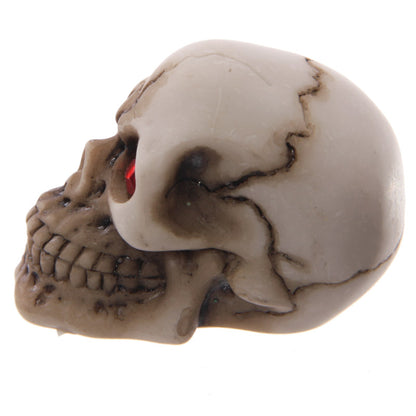 Close-up of Red Eyed Skull Decoration
