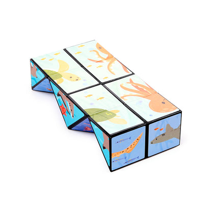 Mariniverse Puzzle Cube Toy in a colourful setting