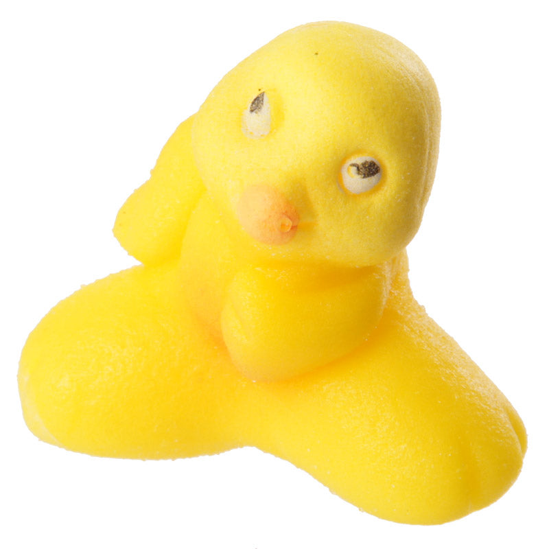 Fun Kids Novelty Hatching Chicken for playroom decor