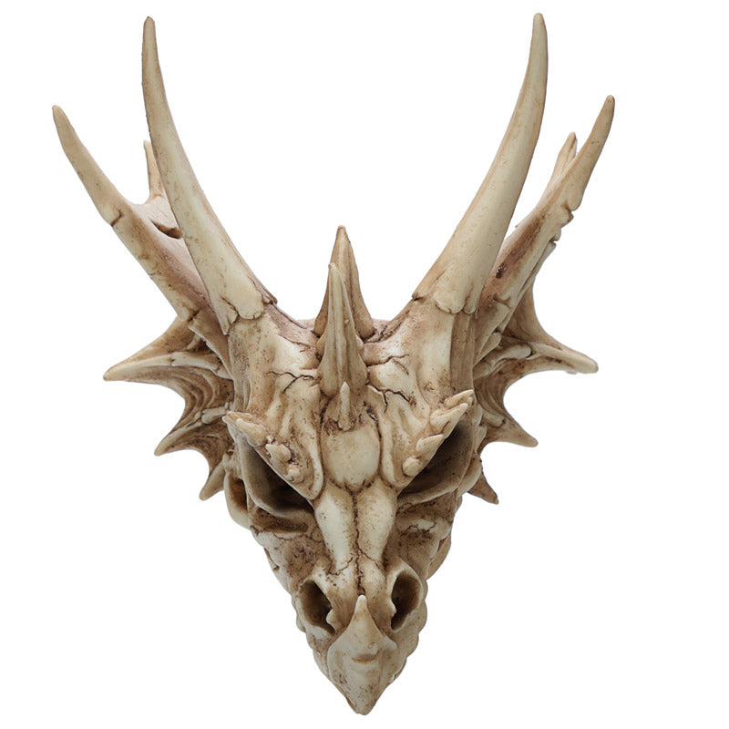 Enchanting Collectable Dragon Skull ornament