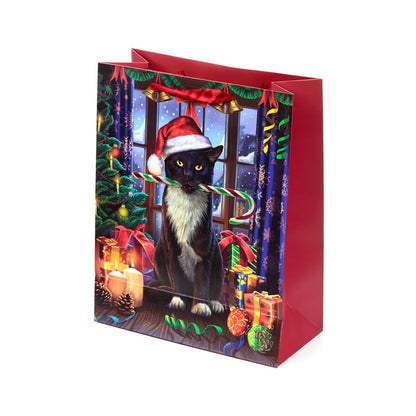 Large gift bag ideal for Christmas gifting and home decor