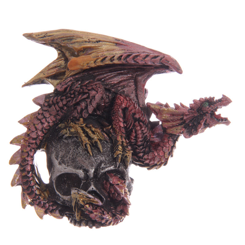 Gothic Dragon Skull Souvenir Magnet - Detailed Design