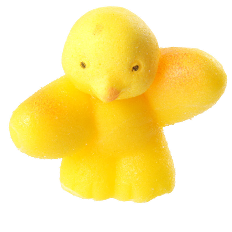 Whimsical Fun Kids Novelty Hatching Chicken ornament