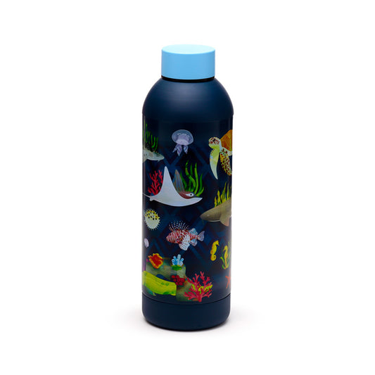 Marine Kingdom Reusable Insulated Drinks Bottle 530ml
