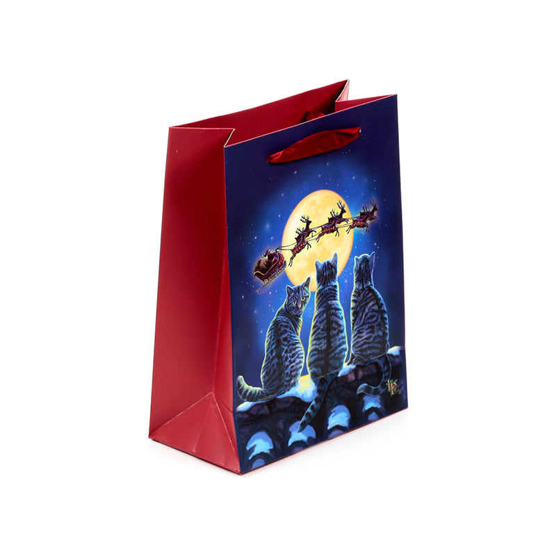Eco-friendly FSC certified Christmas Gift Bag