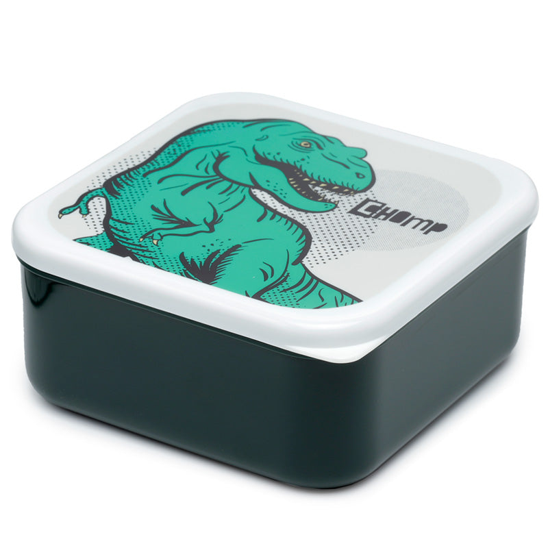 Medium Dinosaur lunch box
