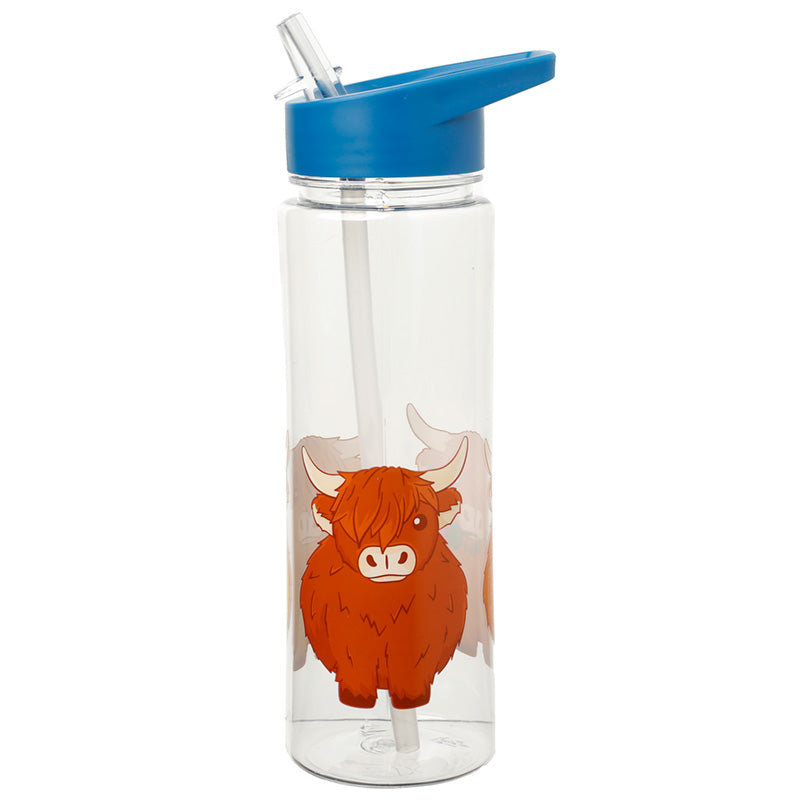 Highland Coo Cow Reusable Water Bottle 550ml front view