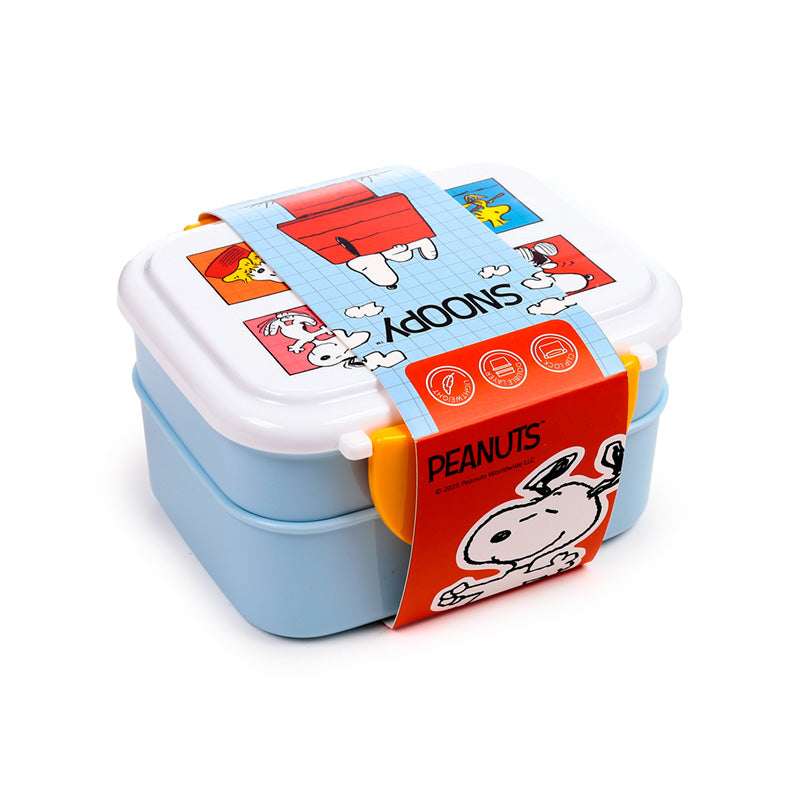 Charming Bento Lunch Box for picnics and work