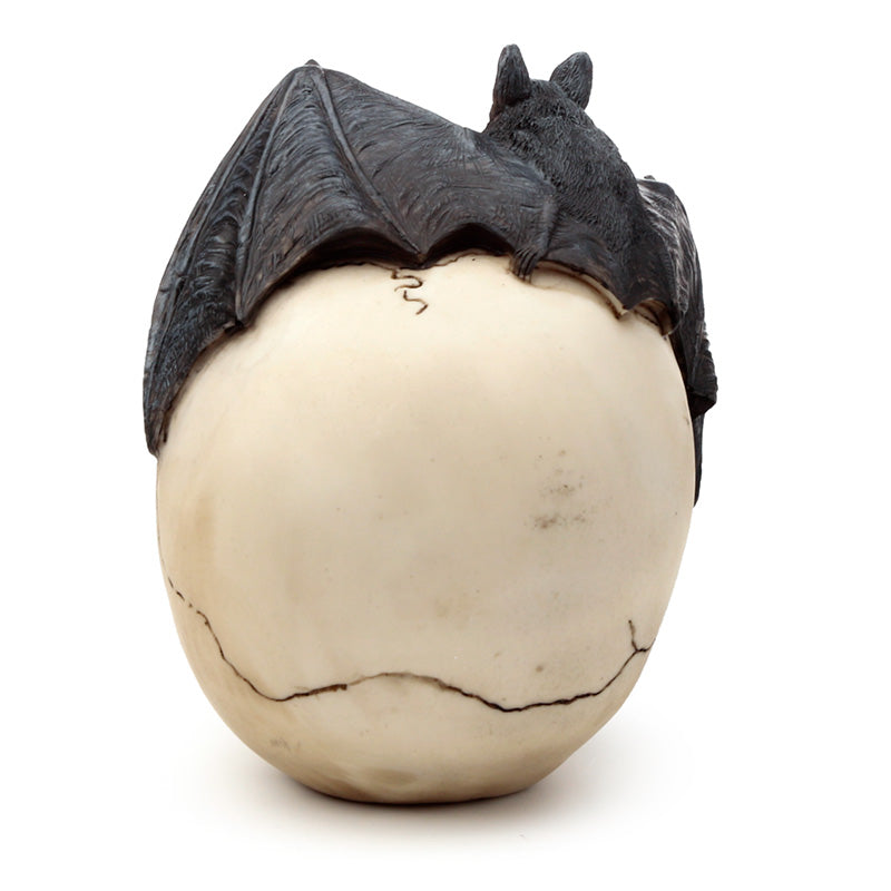 Collectible Gothic Skull Decoration