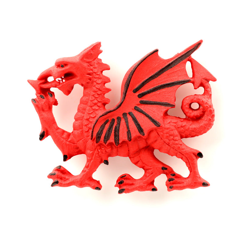 Welsh Dragon Souvenir Magnet on a fridge
