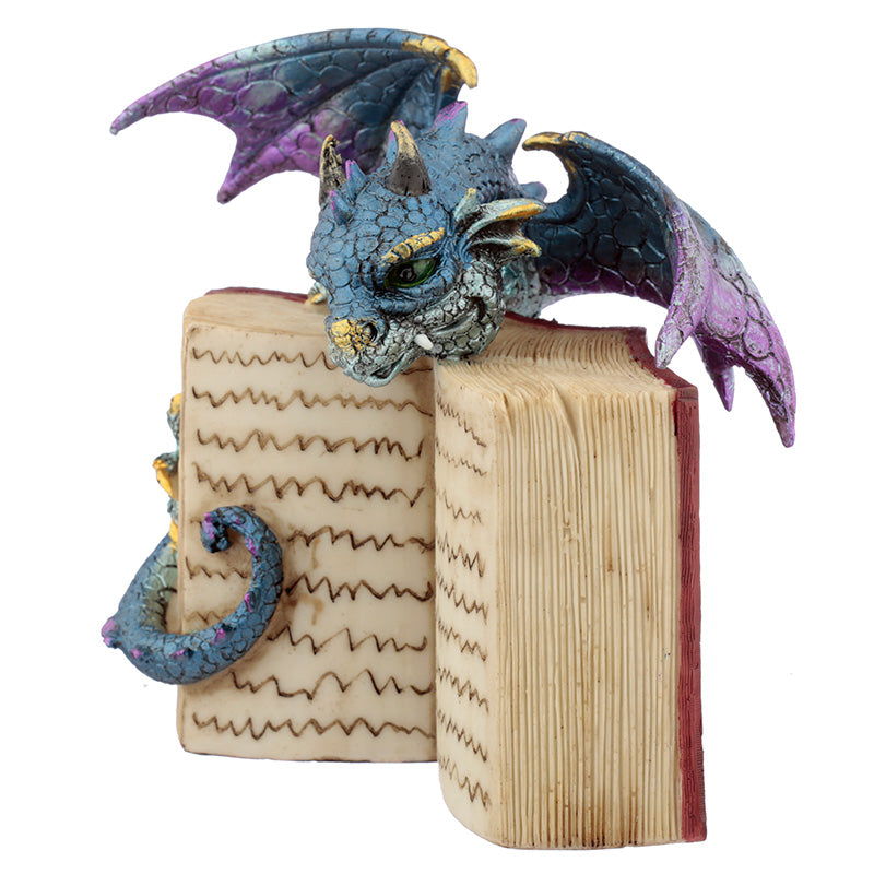 Fantasy decor with Reading Elements Dragon Figurine