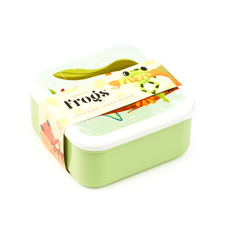 Tropical Tree Frog Lunch Box Set - Large Size