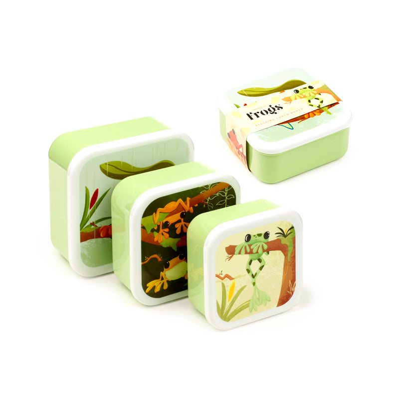Tropical Tree Frog Lunch Boxes for Kids and Adults