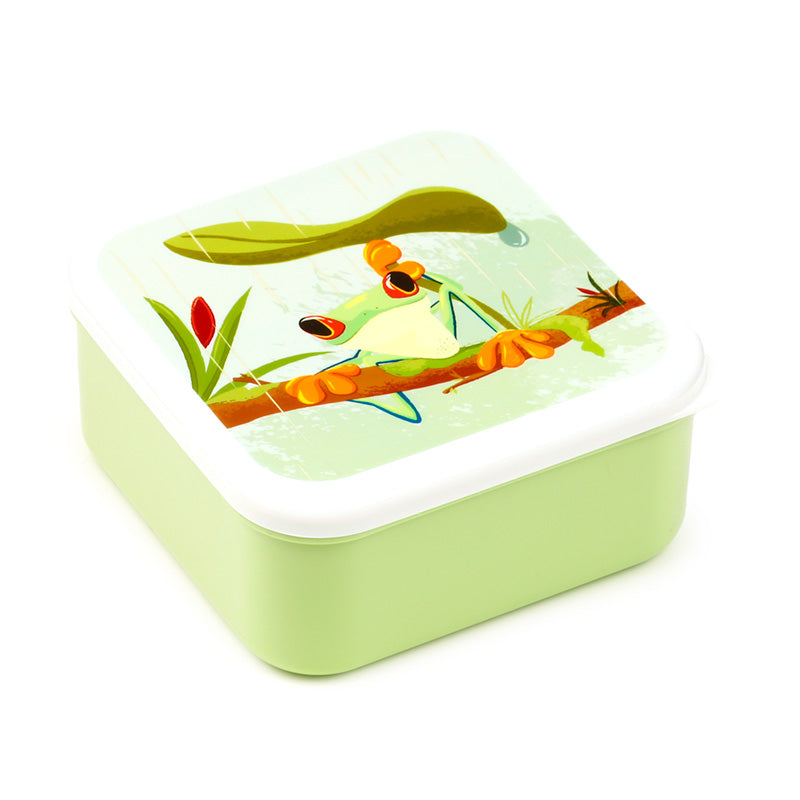Tropical Tree Frog Lunch Box Set - Extra Large Size