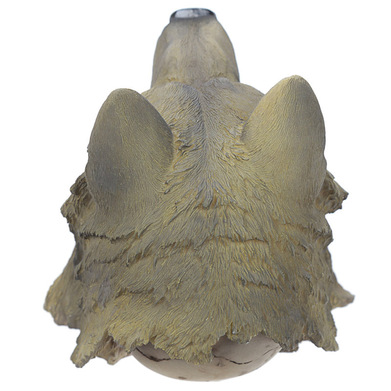 Fantasy Skull with Wolf Head Ornament on display
