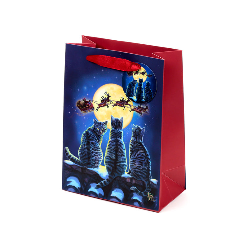 Durable card Christmas Gift Bag with matching tag