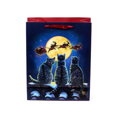 Festive presentation of the Large Christmas Gift Bag
