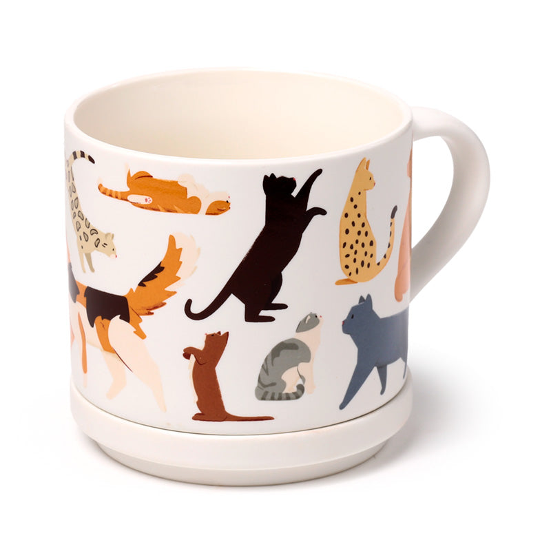Feline Fine Cats Mug with Matching Coaster