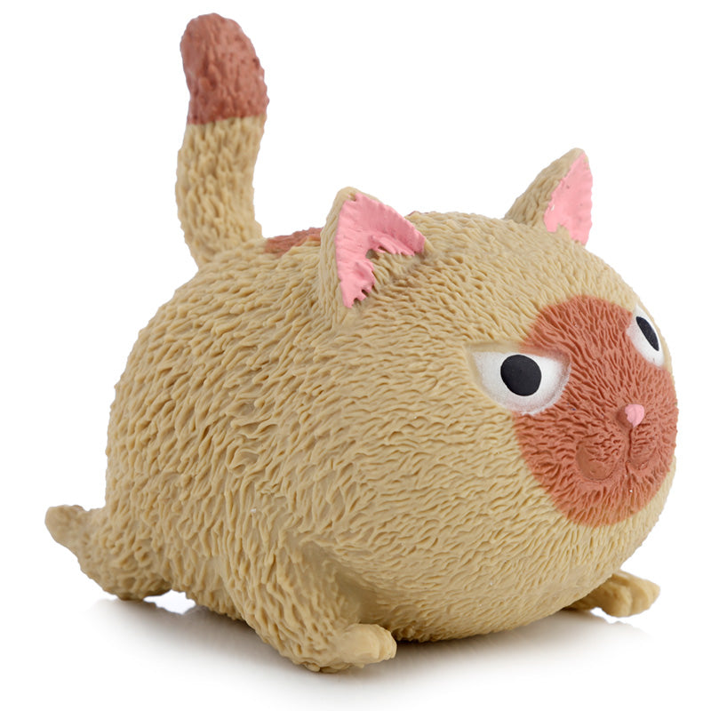Playful Stretchable Cat Toy in use